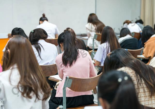 Baykuş Programı ile Hedefe Odaklı Soru Çözüm Modeli